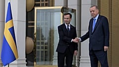 Le président turc Recep Tayyip Erdogan, à droite, et le Premier ministre suédois, Ulf Kristersson, à Ankara, en Turquie, le 8 novembre 2022.