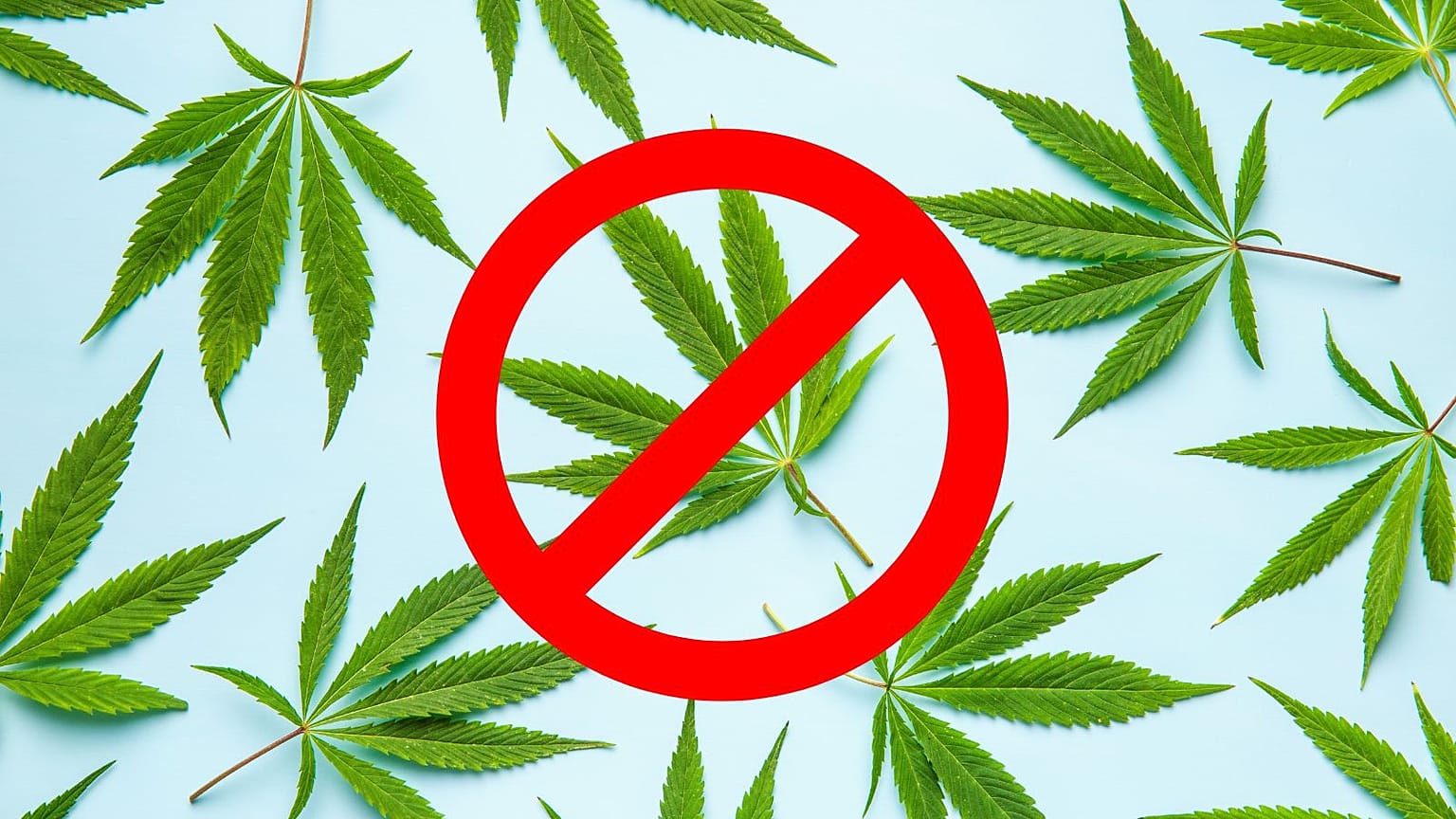 After the boom of CBD, authorities worry about HHC, which can be ingested, smoked or vaped, with effects similar to those of cannabis. 