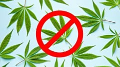 After the boom of CBD, authorities worry about HHC, which can be ingested, smoked or vaped, with effects similar to those of cannabis. 