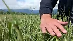 Mühlen in Georgien stellen nach und nach den Betrieb ein. 