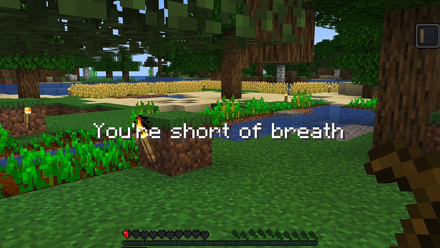 Long COVID symptoms showing up in 'Minecraft'