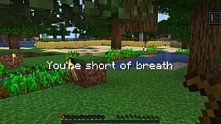 Long COVID symptoms showing up in 'Minecraft'