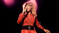 An icon for the ages - Tina Turner performing in Illionois, 1987