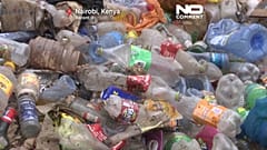 Auf der Müllhalde suchen die Arbeiter:innen wiederverwendbares Plastik.