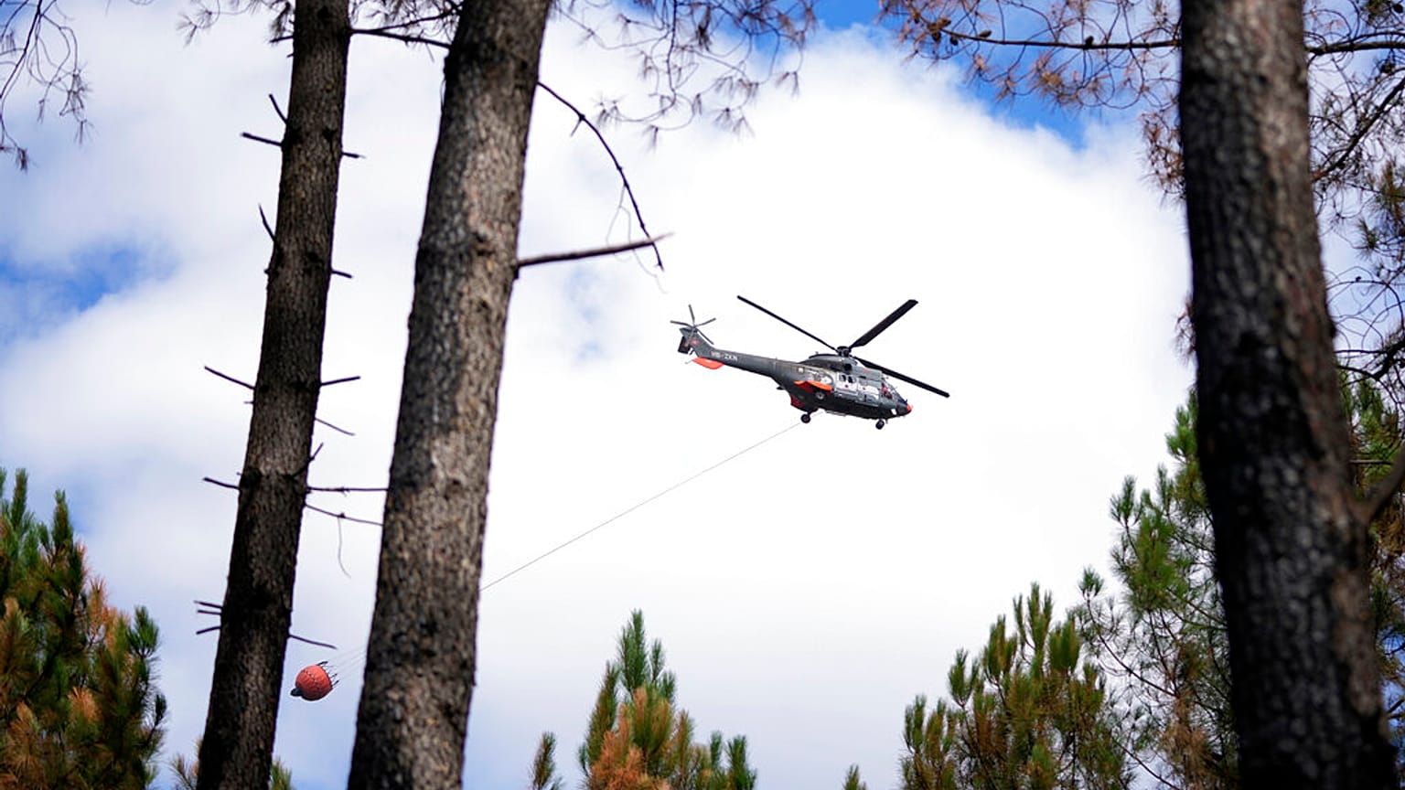 Un hélicoptère au-dessus d'une forêt
