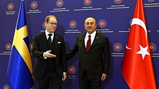 Dışişleri Bakanı Mevlüt Çavuşoğlu ile İsveçli mevkidalı Tobias Billstrom aralık ayında Ankara'da görüşmüştü