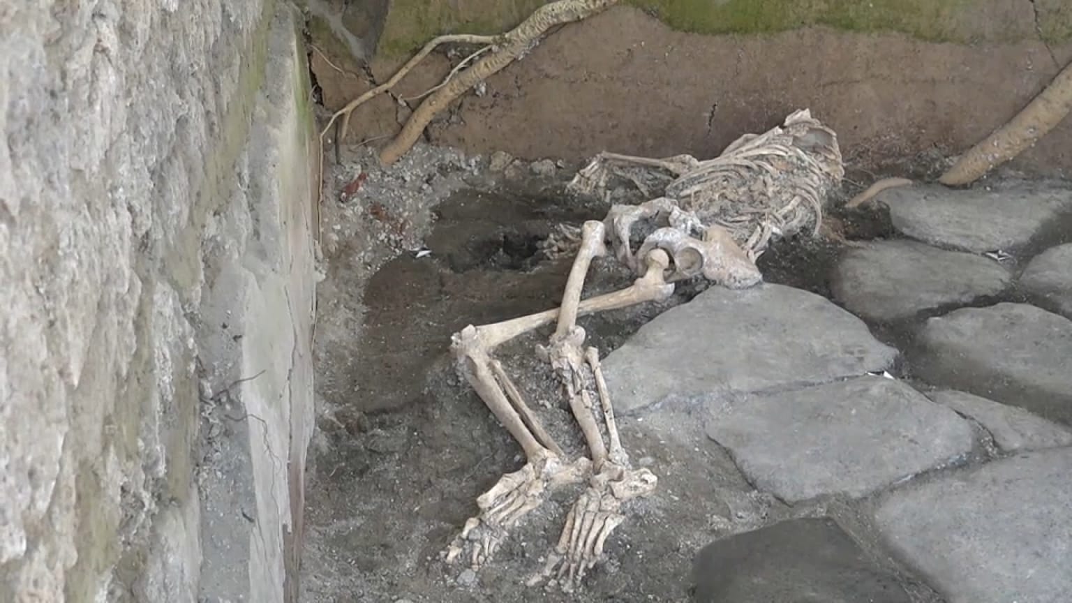 Eines der drei Opfer des Vulkanausbruchs von AD 79, die neu entdeckt wurden.