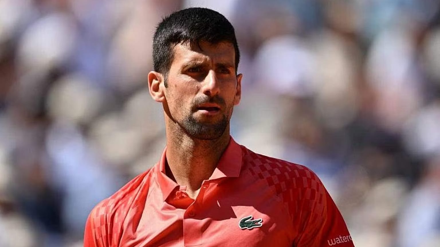 Novak Djokoviç