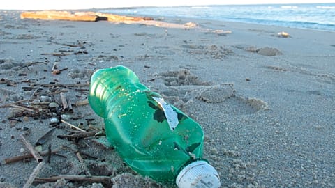 Plastic pollution on the beaches of Sandy Hook