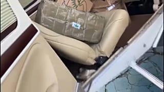 Бразильская полиция конфисковала 290 кг канабиса, обнаружив груз в самолёте местного протестантского проповедника