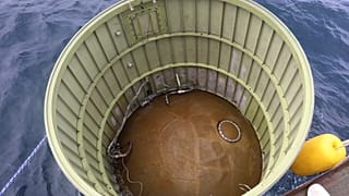 Предполагаемая часть упавшего северокорейского спутника