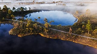 There’s plenty of nature to explore in Estonia, like its famous bogs. Wooden paths make hiking easier while reducing the impact on the complex ecosystem.