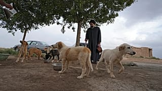  رجل الدين الإيراني سيد مهدي طبطبائي ينظر إلى الكلاب الضالة، خارج مدينة قم، جنوب العاصمة طهران، إيران،  مايو 2023. 