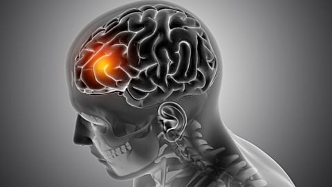Scientists successfully caused cancer cells to self-destruct in brain tumour treatment breakthrough