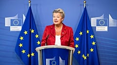 European Commissioner Ylva Johansson urged EU countries to "act as Team Europe" and move forward the new rules on migration and asylum.