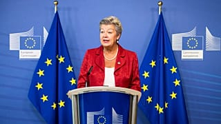 European Commissioner Ylva Johansson urged EU countries to "act as Team Europe" and move forward the new rules on migration and asylum.