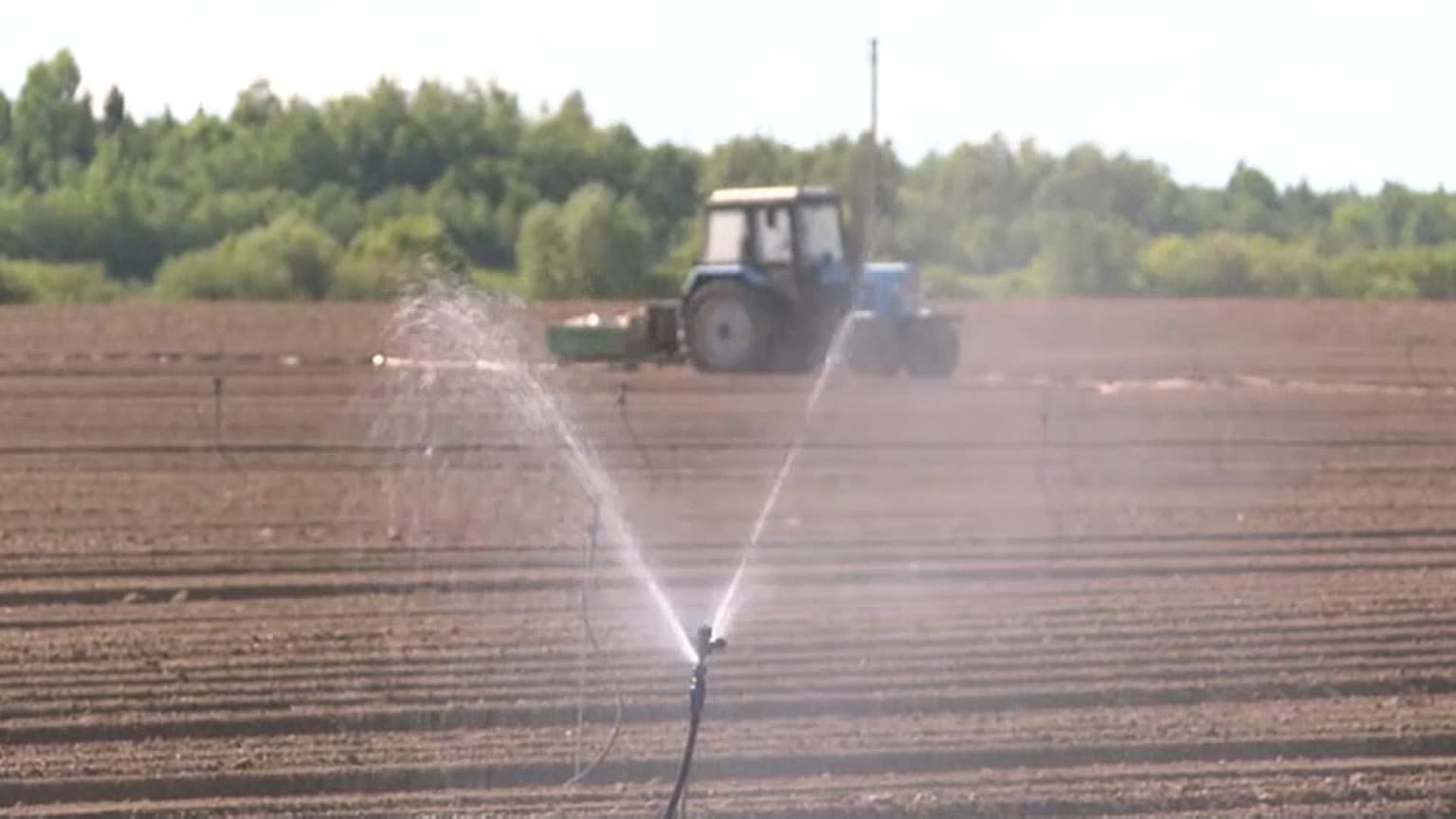 Un agriculteur arrose ses semences. Capture d'écran d'un reportage de la télévision lituanienne LTLT. 