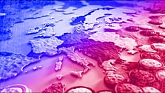 Illustration of cookies on a map of Europe
