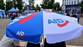 Rassemblement du parti d'extrême droite Alternative pour l'Allemagne (AfD), le 10 août 2021.