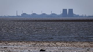The Zaporizhzhia nuclear power plant is seen in the background of the shallow Kakhovka Reservoir.