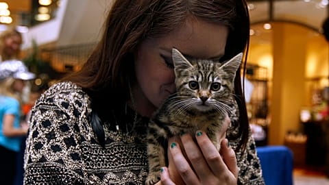 Thailand's first pet-friendly cinema