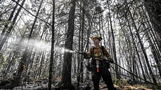 Un pompier arrose des foyers dans une forêt, près de Shelburne, Canada, le 1er juin 2023