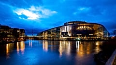 Die politischen Parteien im Europäischen Parlament sind über das Gesetz zur Wiederherstellung der Natur erbittert zerstritten.