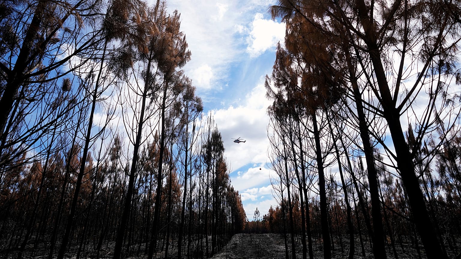 Helicopters surveille and drop water on the Vosges  