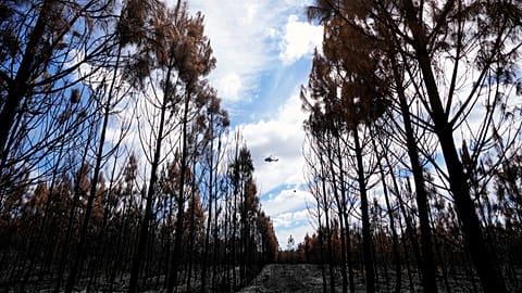 Helicopters surveille and drop water on the Vosges  
