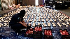Um funcionário da alfândega saudita abre romãs importadas usadas para tentar contrabandear mais de 5 milhões de comprimidos de Captagon, em 2021.
