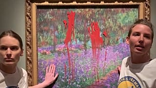 Экоэкстремисты у картины Клода Моне "Сад художника в Живерни"