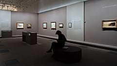 Das schwedische Nationalmuseum in Stockholm ist das jüngste Opfer von Umweltschützern geworden.