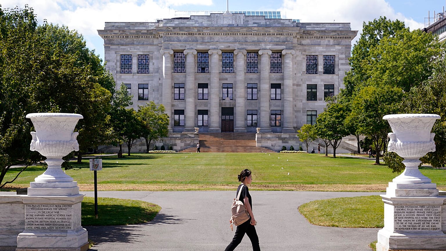 Harvard Tıp Fakültesi 