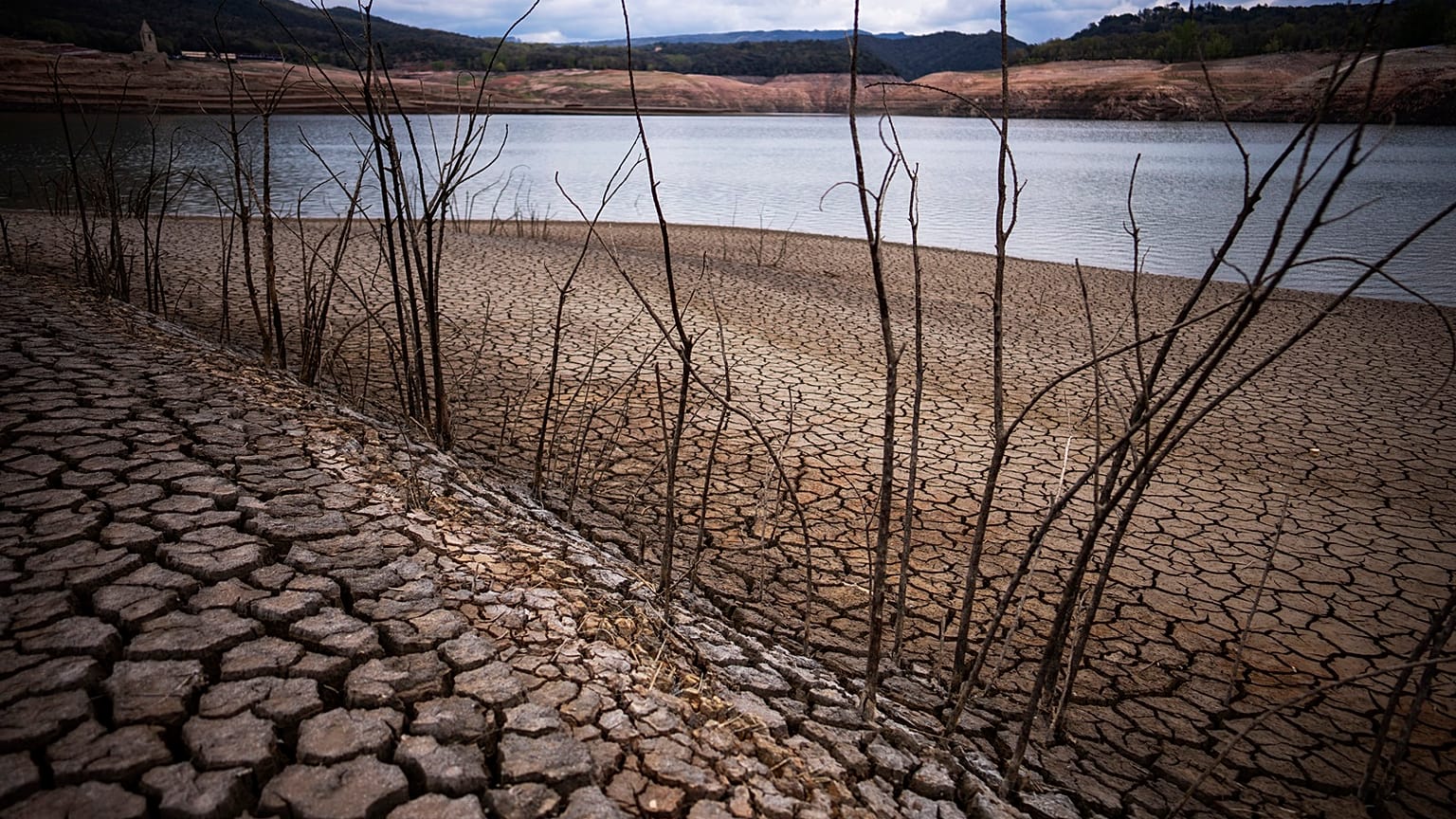 Lei vis ajudar a recuperar ecosistemas degradados na União Europeia até 2030