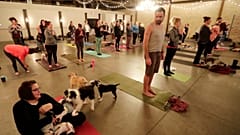Doga