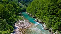 Der Fluss Tara in Montenegro