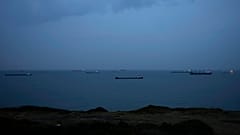 پدیدار شدن لاشه حیوانات مرده در سواحل دریای سیاه بلغارستان به موضوعی نگران‌کننده و مبهم تبدیل شده است