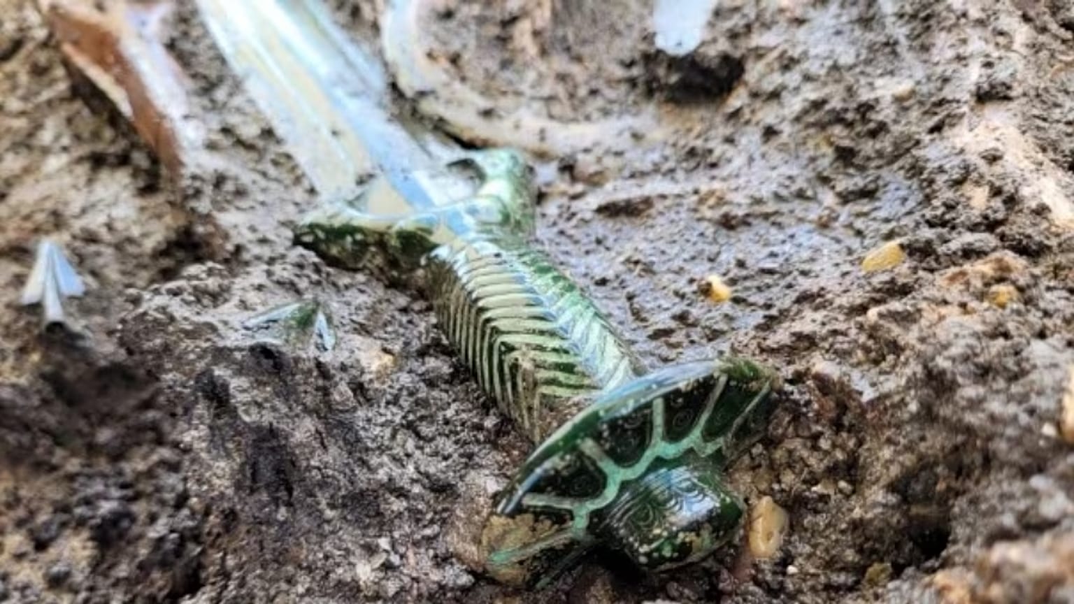 Almanya'da Tunç Çağı'ndan kalma kılıç bulundu