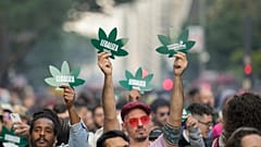 Varios participantes en la 'Marche de la Marihuana' pidiendo sea legalizada para consumo personal