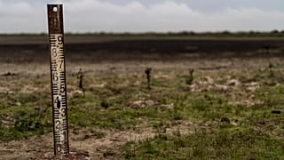Un medidor del nivel del agua en el Parque Natural de Doñana, España