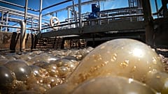 Arzneimittelrückstände im Abwasser: schwer abbaubare Gefahren