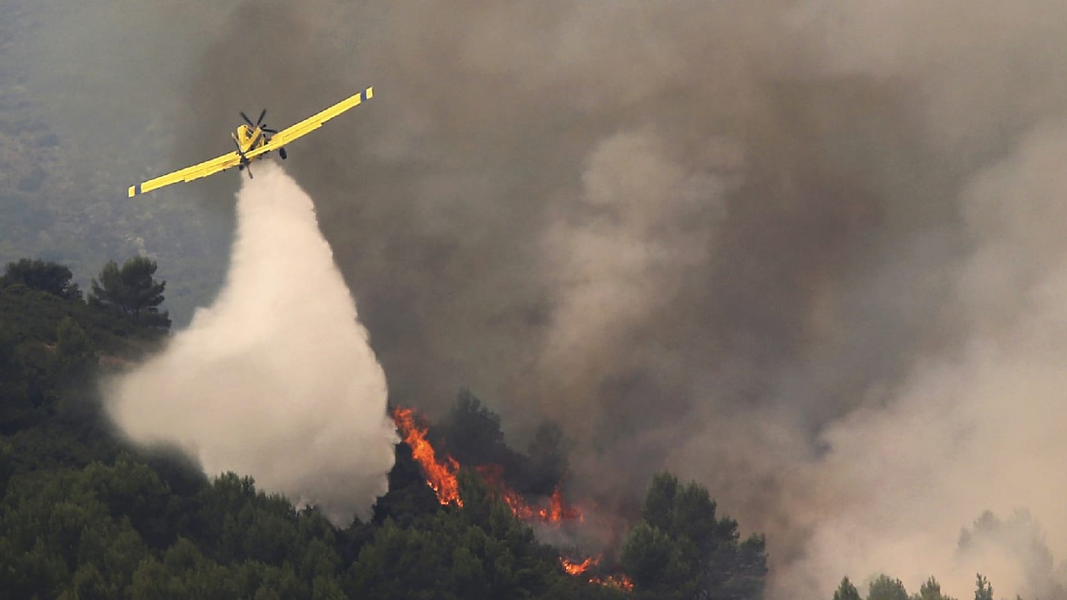 Emergenza incendi boschivi in Europa