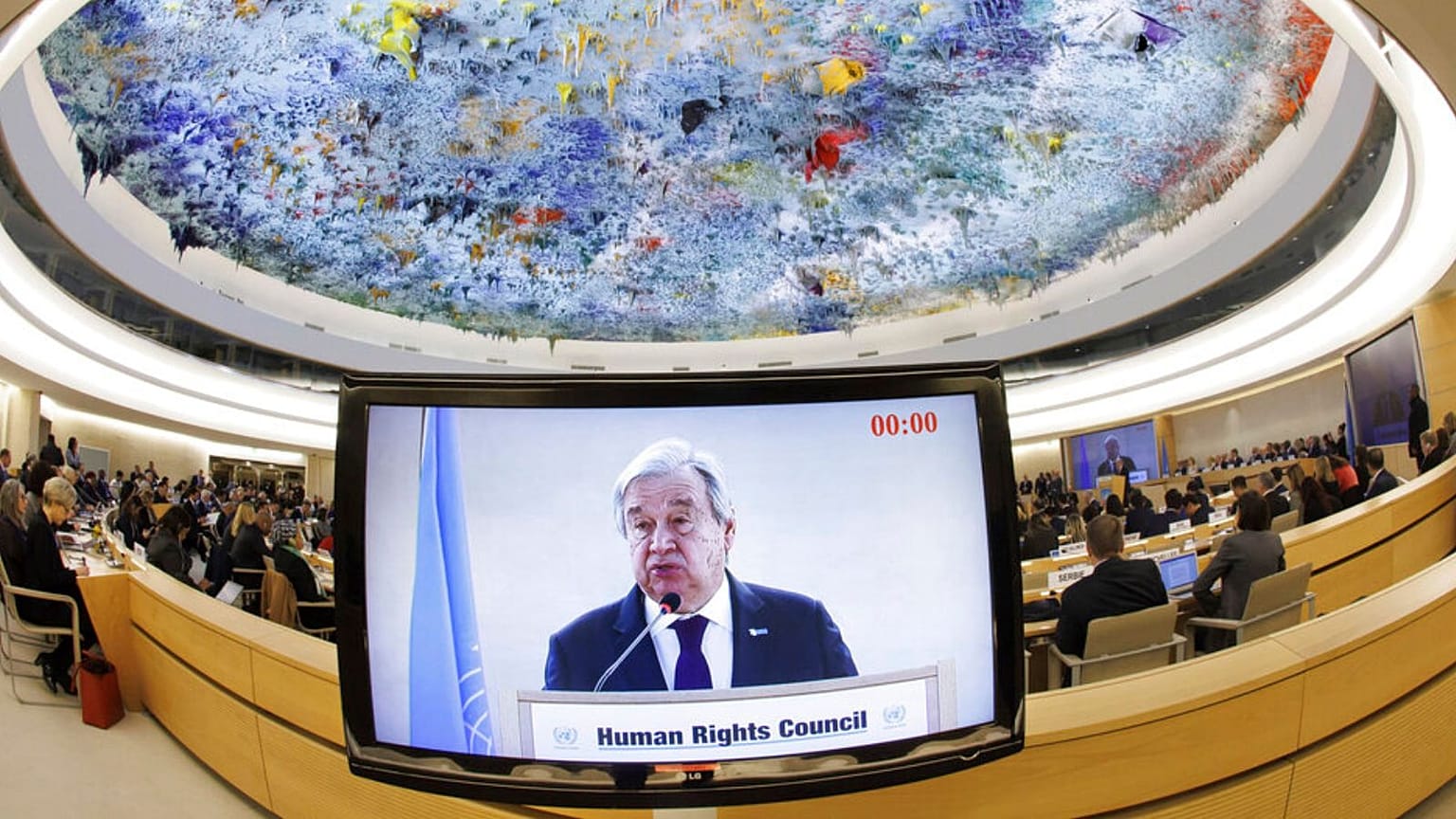 United Nations Human Rights Council