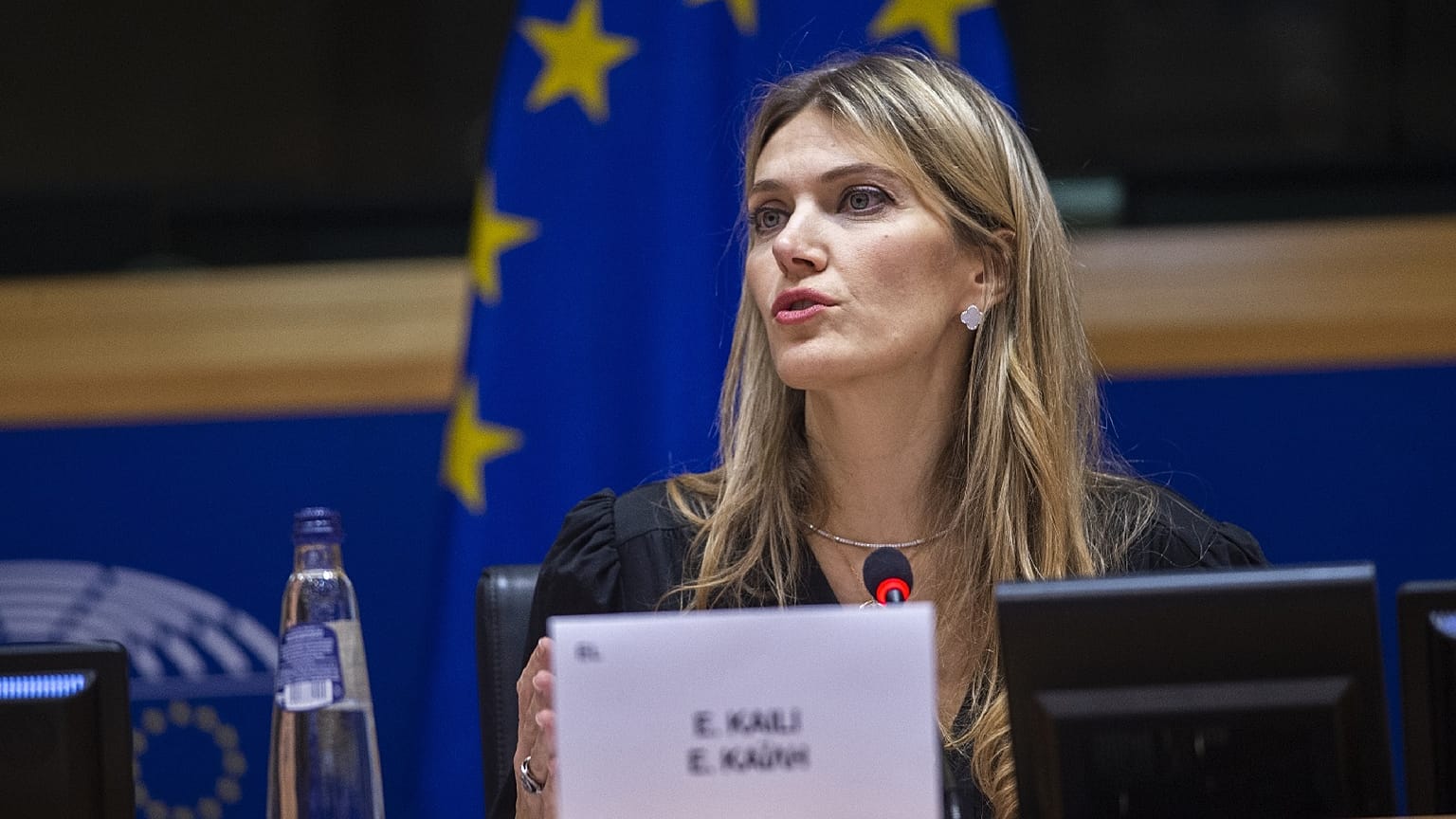 Бывший вице-спикер Европарламента Эва Кайли