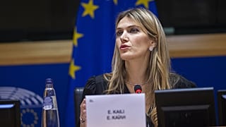 Бывший вице-спикер Европарламента Эва Кайли