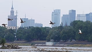 L'Institut de météorologie et de gestion de l'eau tire la sonnette d'alarme concernant le niveau historiquement bas des eaux de la Vistule.