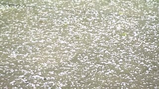 Riesige Hagelkörner im nordhessischen Kassel