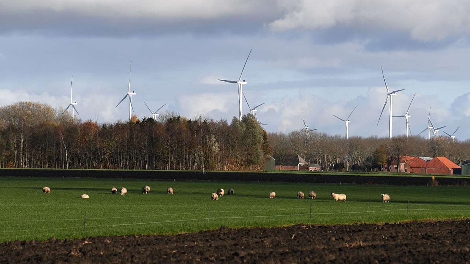 Doğal gaz çıkarım faaliyetinden dolayı depremlerin yaşandığı Groningen bölgesi