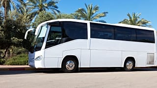 عکس تزیینی است