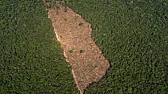 Mitten im Regenwald wurde abgeholzt Porto Velho, Brazilien,  2019.